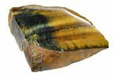Polished Tiger's Eye Section - South Africa #148256-2